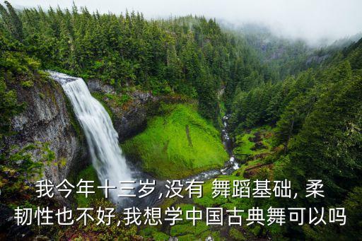 我今年十三岁,没有 舞蹈基础, 柔韧性也不好,我想学中国古典舞可以吗