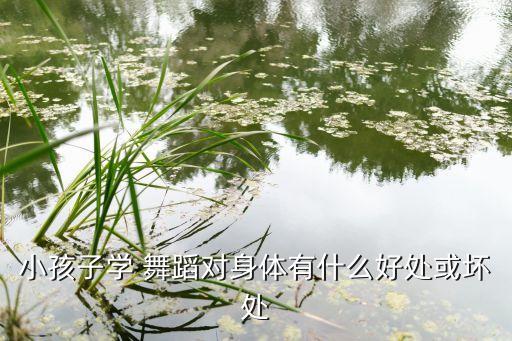 小孩子学 舞蹈对身体有什么好处或坏处
