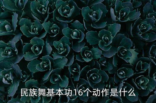 民族舞基本功16个动作是什么