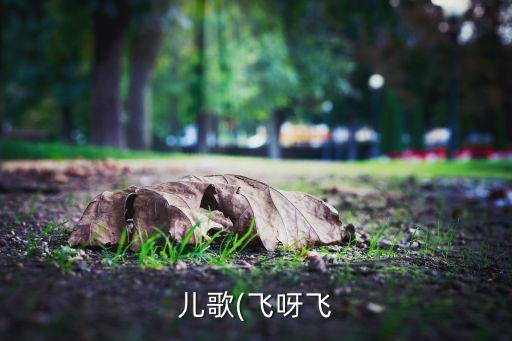 儿歌(飞呀飞