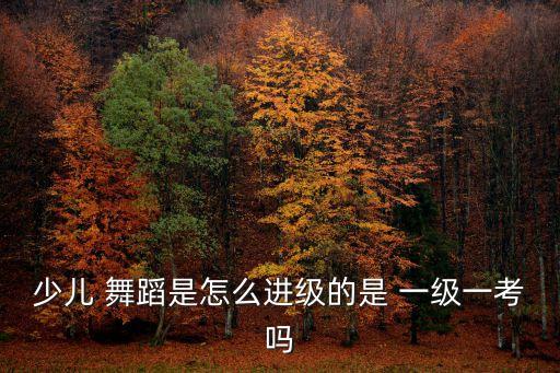 少儿 舞蹈是怎么进级的是 一级一考吗