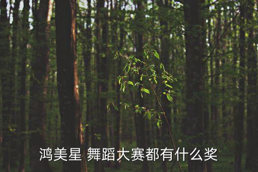 鸿美星 舞蹈大赛都有什么奖