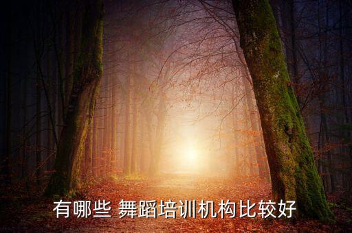 有哪些 舞蹈培训机构比较好