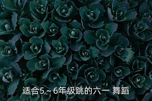 幼儿舞蹈稍息立正站好,第三集:稍息立正站好