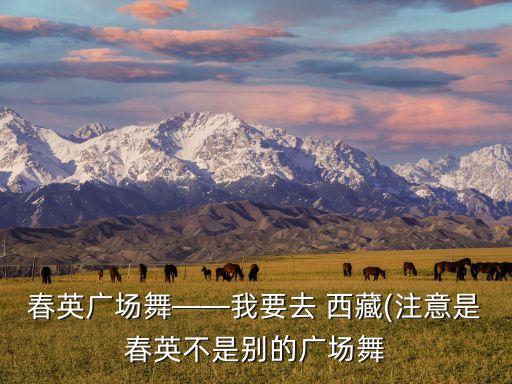 春英广场舞——我要去 西藏(注意是春英不是别的广场舞