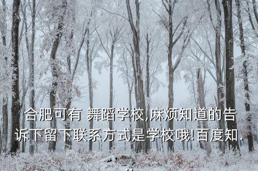  合肥可有 舞蹈学校,麻烦知道的告诉下留下联系方式是学校哦!百度知...