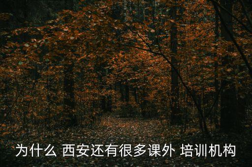 为什么 西安还有很多课外 培训机构