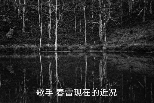 歌手 春雷现在的近况