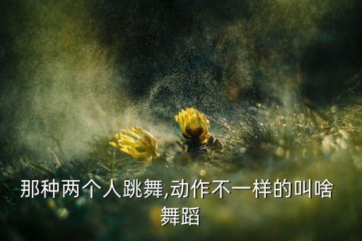 同行舞蹈的,男女舞伴共舞舞蹈多现代舞:华尔兹等等