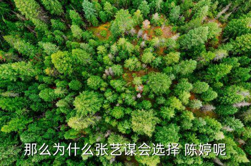 芭蕾舞蹈陈婷,ting-不知从何而来?原来是这样
