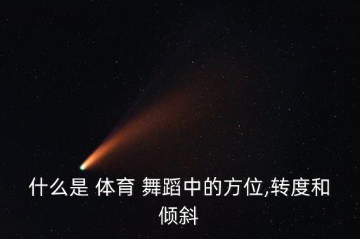下面哪个是体育舞蹈的十大原则,学舞蹈要注意什么?
