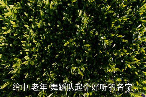 沈阳老年舞蹈队,老年舞蹈团邀你跳起来