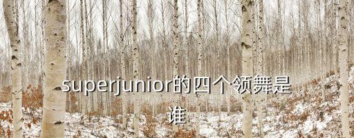 superjunior的四个领舞是谁