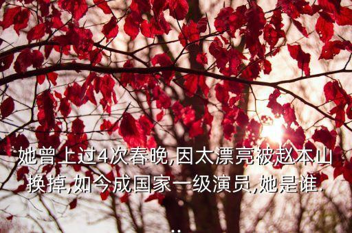 最美丽舞蹈家名字,新疆舞蹈家协会主席兼任中国艺术界联合会