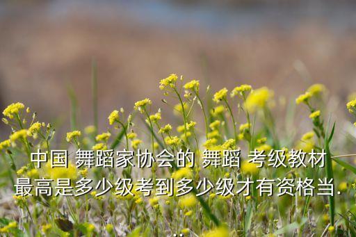 中国 舞蹈家协会的 舞蹈 考级教材最高是多少级考到多少级才有资格当...