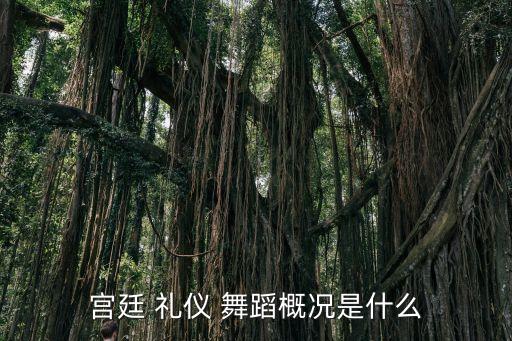 宫廷 礼仪 舞蹈概况是什么