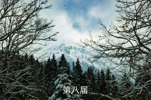 第八届