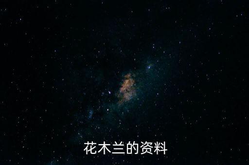  花木兰的资料