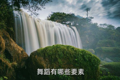 舞蹈表演需要什么,舞蹈表演专业毕业生前景非常可观