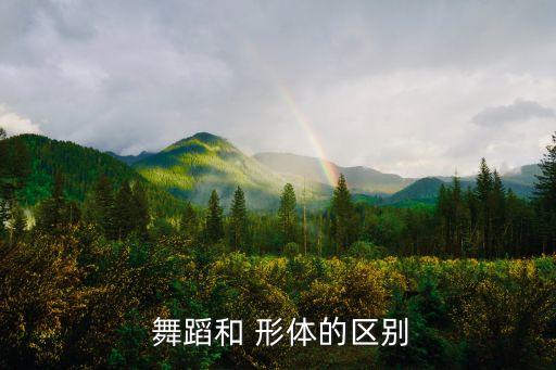  舞蹈和 形体的区别