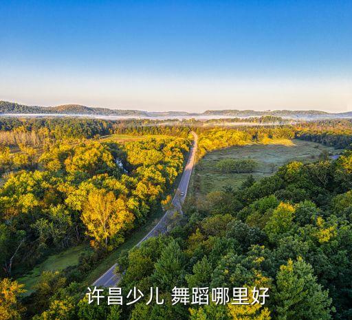  许昌少儿 舞蹈哪里好