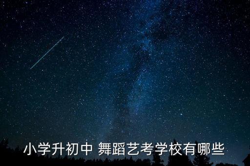小学升初中 舞蹈艺考学校有哪些