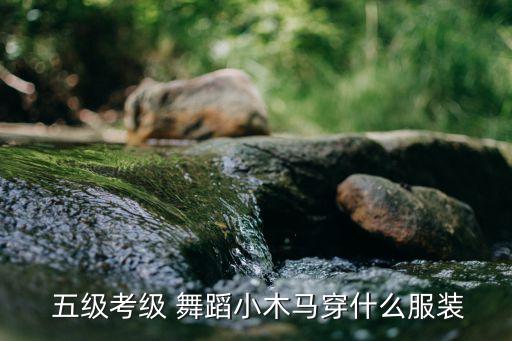  五级考级 舞蹈小木马穿什么服装