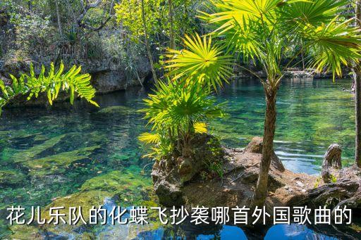 化蝶广舞蹈视频,最受欢迎的亚洲人舞蹈家庭