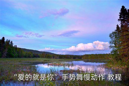 “爱的就是你”手势舞慢动作 教程