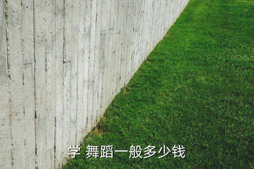 学 舞蹈一般多少钱