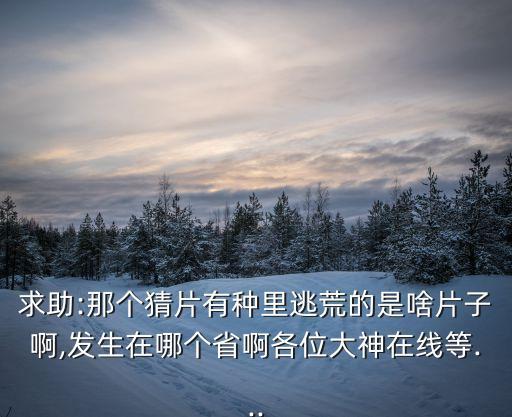 求助:那个猜片有种里逃荒的是啥片子啊,发生在哪个省啊各位大神在线等...