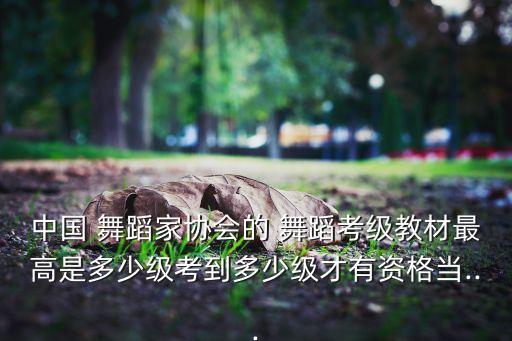 中国 舞蹈家协会的 舞蹈考级教材最高是多少级考到多少级才有资格当...