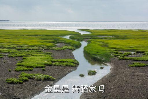 舞蹈家金星,中国舞蹈家金星1988年在韩国举办独舞晚会