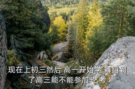 现在上初三然后 高一开始学 舞蹈到了高三能不能参加 艺考