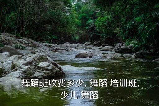  舞蹈班收费多少, 舞蹈 培训班,少儿 舞蹈