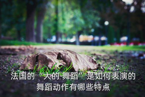  法国的“大的 舞蹈”是如何表演的 舞蹈动作有哪些特点
