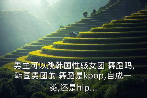 男生可以跳韩国性感女团 舞蹈吗,韩国男团的 舞蹈是kpop,自成一类,还是hip...
