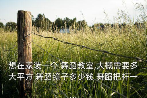 想在家装一个 舞蹈教室,大概需要多大平方 舞蹈镜子多少钱 舞蹈把杆一...