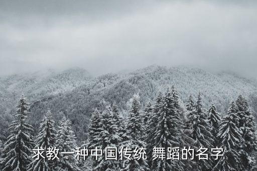 求教一种中国传统 舞蹈的名字