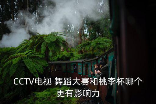 CCTV电视 舞蹈大赛和桃李杯哪个更有影响力
