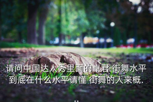 请问中国达人秀里面的卓君 街舞水平到底在什么水平请懂 街舞的人来概...