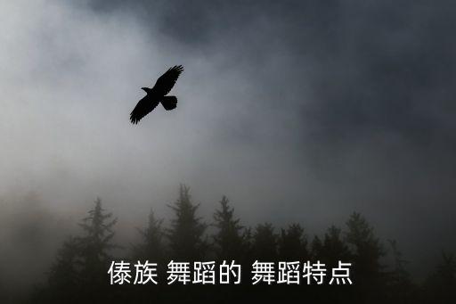  傣族 舞蹈的 舞蹈特点