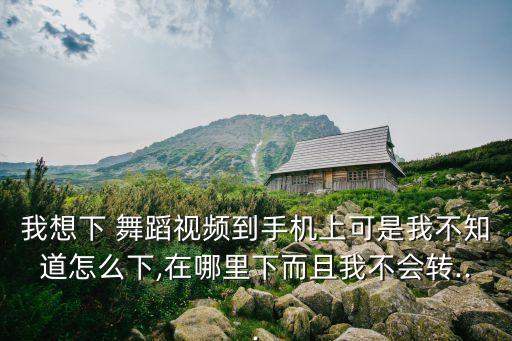 我想下 舞蹈视频到手机上可是我不知道怎么下,在哪里下而且我不会转...