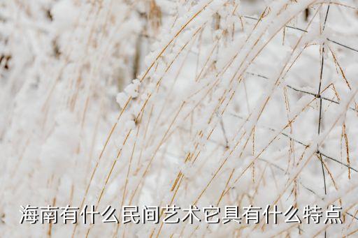  海南有什么民间艺术它具有什么特点