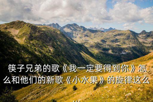  筷子兄弟的歌《我一定要得到你》怎么和他们的新歌《小水果》的旋律这么...