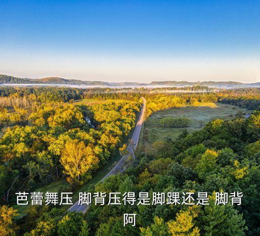 芭蕾舞压 脚背压得是脚踝还是 脚背阿