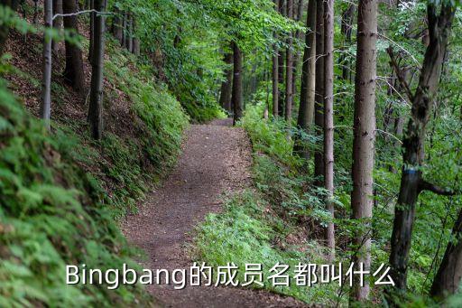 基督教舞蹈最美路,韩国明年重点新组合bigbang成功亮相