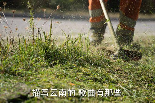 天上人间 舞蹈歌曲,《新五朵金花》主题曲《云之南》