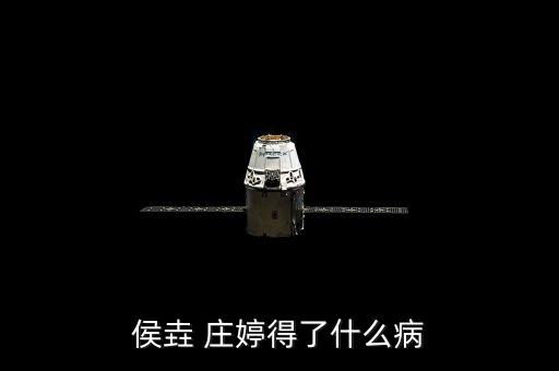 侯垚 庄婷得了什么病