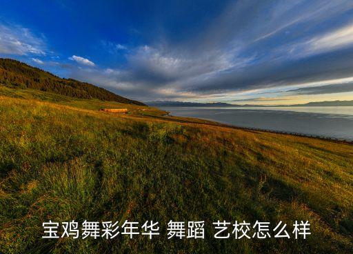 宝鸡舞彩年华 舞蹈 艺校怎么样